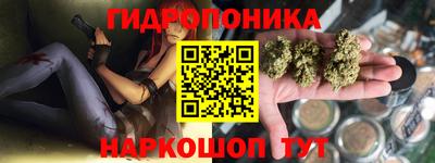 ПСИЛОЦИБИНОВЫЕ ГРИБЫ Кингисепп
