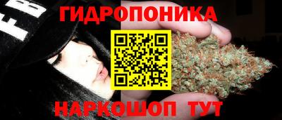 ПСИЛОЦИБИНОВЫЕ ГРИБЫ Кингисепп