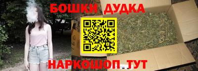 индика Кинель