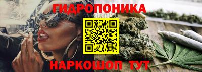 ПСИЛОЦИБИНОВЫЕ ГРИБЫ Кингисепп