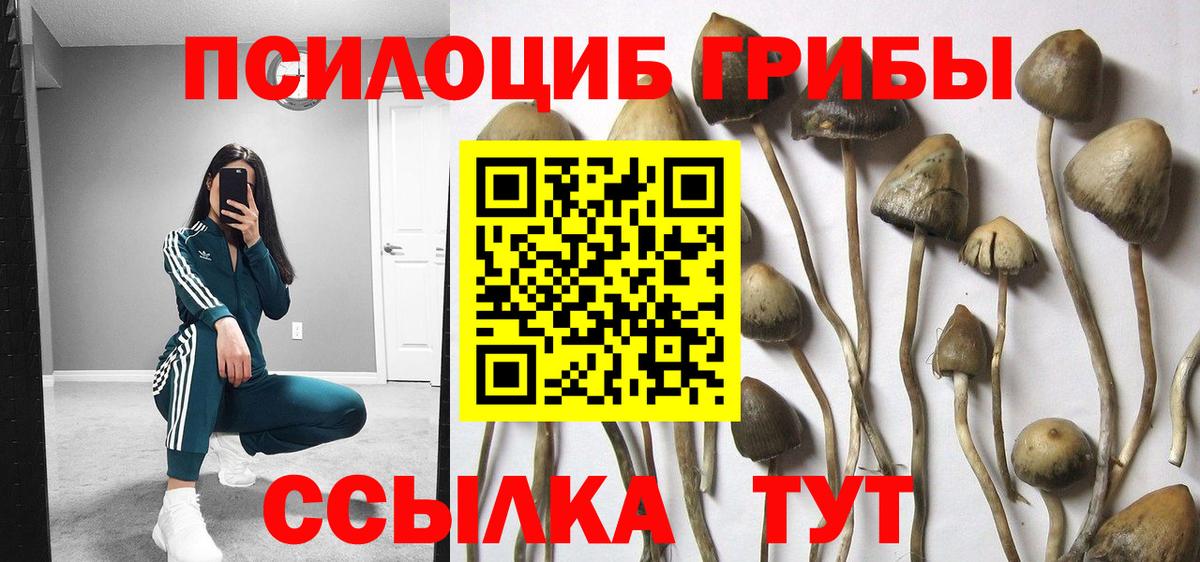 Галлюциногенные грибы Psilocybine cubensis  Вход с VPN  Крымск 